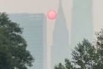 英媒：世界杯决赛前纽约空气质量极差 呼吸空气被比作1天抽10根烟