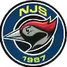 努尔米耶尔维NJS